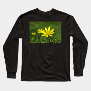 Lesser Celandine on the level Long Sleeve T-Shirt